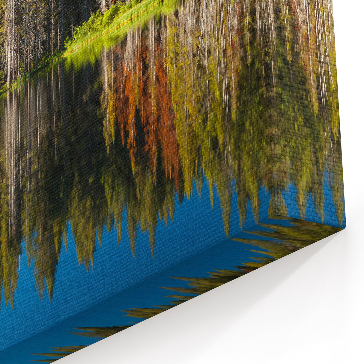 Scenic Lake Tahoe Prints - Tranquil Forest Reflection Wall Art