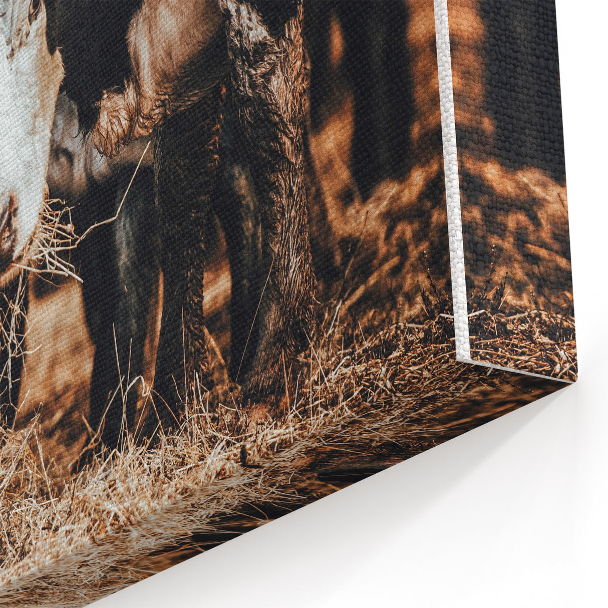 Pastoral Harmony - Intimate Cattle Scene Art