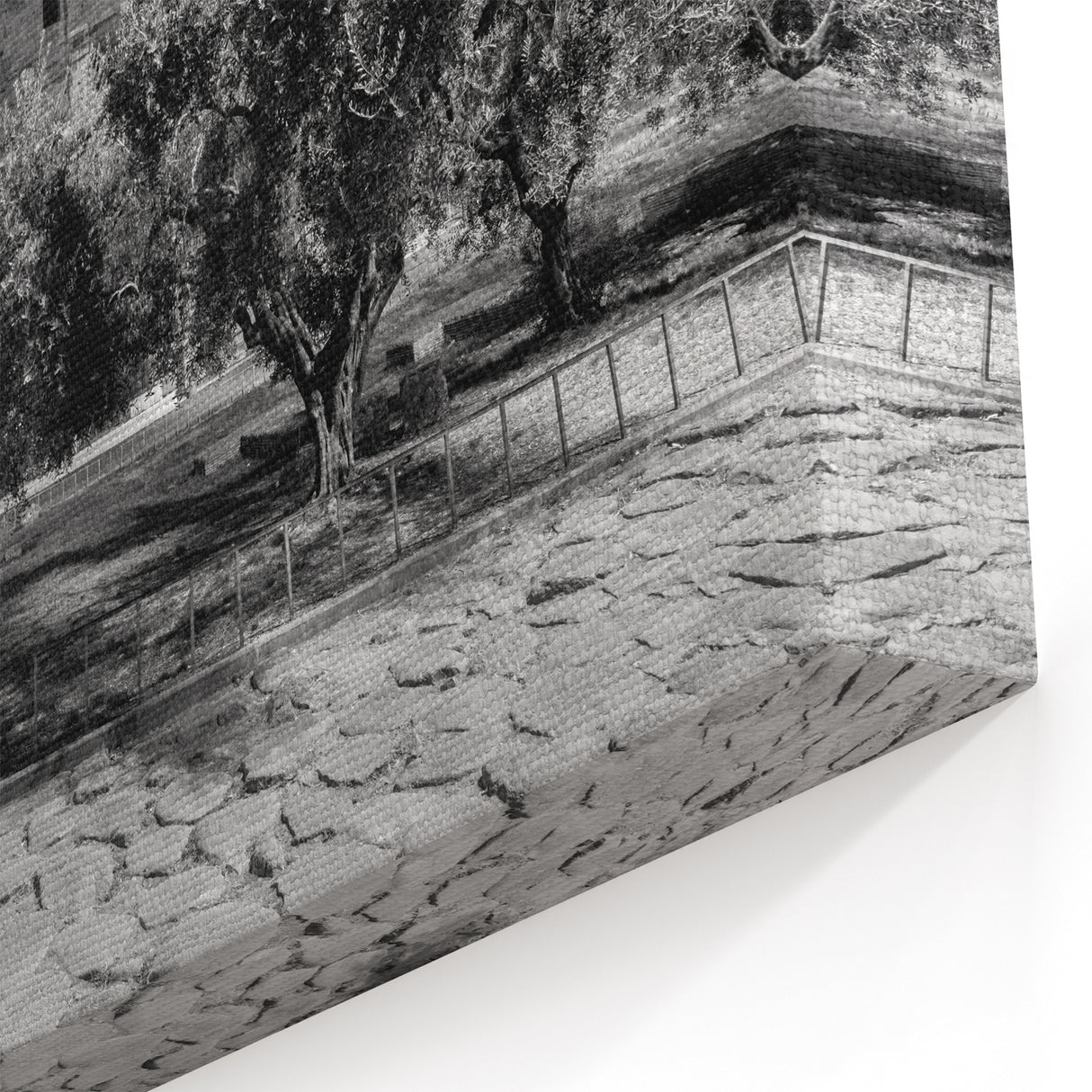 Rome Landmarks - Colosseum at Night Roman Forum Canvas Print