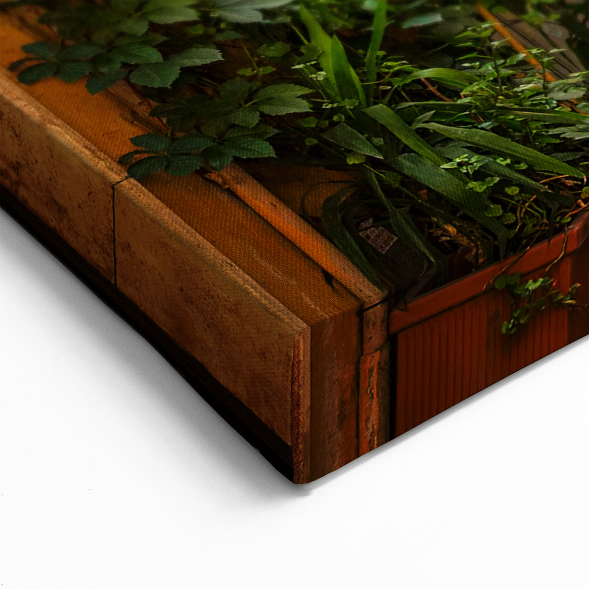 Rome Wall Art - Sunlit Trastevere Alley Italian Scenery Canvas Print