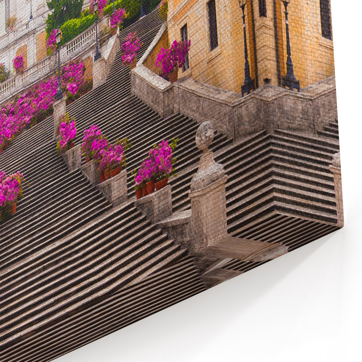 Rome Canvas Prints - Spanish Steps with Flowers Italian Wall Art