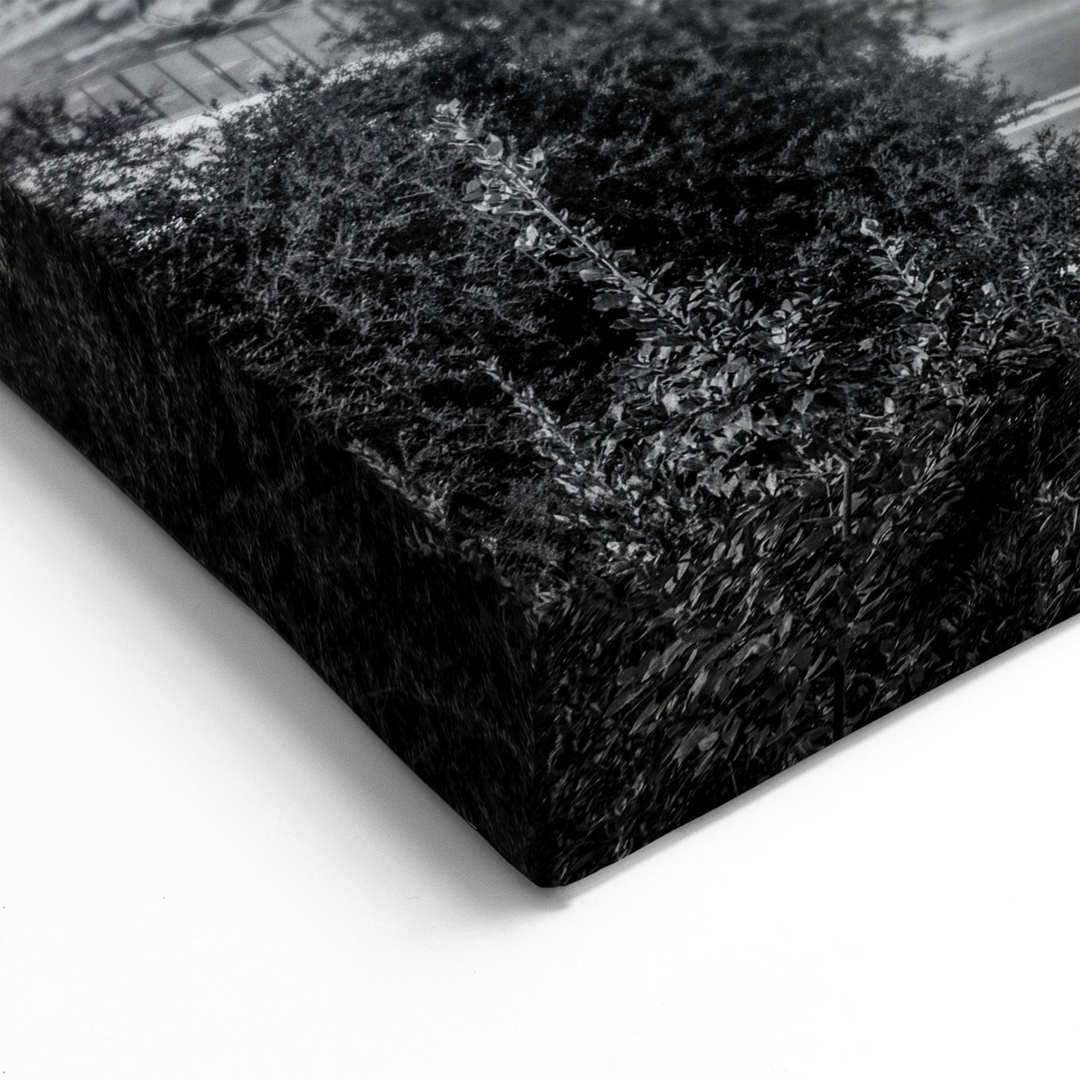 Italian Scenery Art - Black and White Colosseum Canvas Print