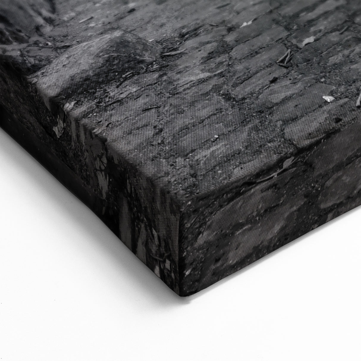 Rome Cityscape - Red Vespa in Trastevere Black and White Canvas Print