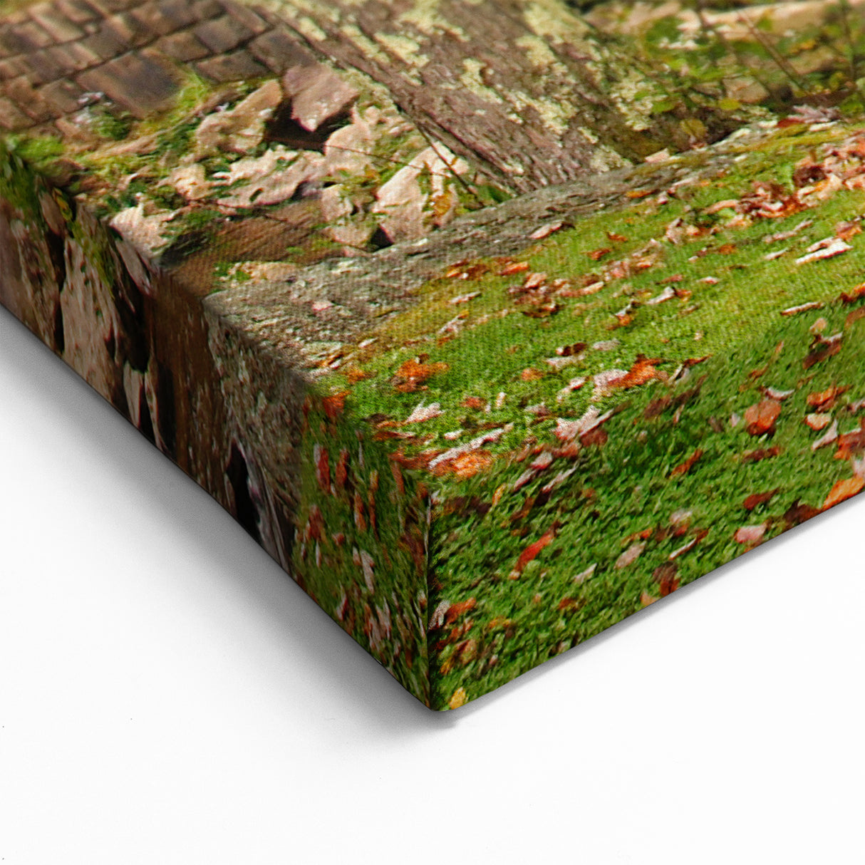 Babcock State Park West Virginia Wall Art - Scenic Framed Canvas Prints