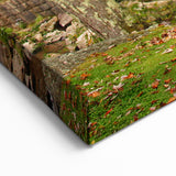 Babcock State Park West Virginia Wall Art - Scenic Framed Canvas Prints