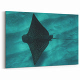 Oahu Photography – Striking Stingray Underwater Print for Tropical Decor