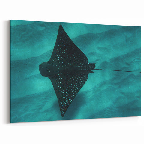 Oahu Photography – Striking Stingray Underwater Print for Tropical Decor