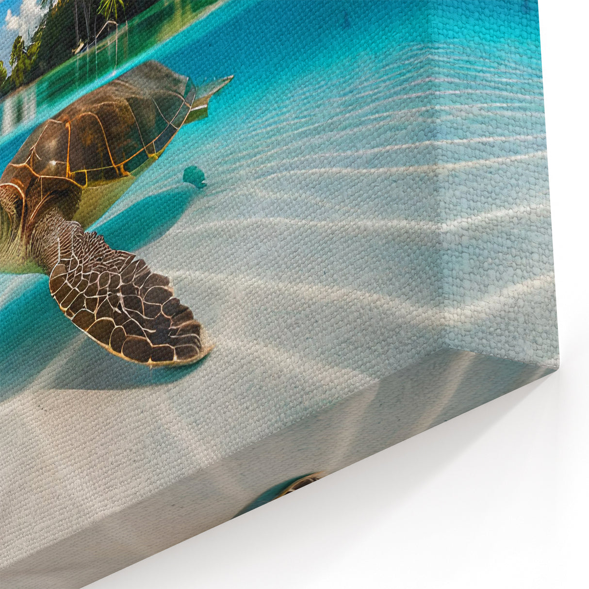Oahu Coastal Art - Tropical Sea Turtle Hawaii Photography Canvas