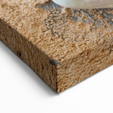 Sicily Wall Art - Traditional Trinacria Symbol Sicilian Decor