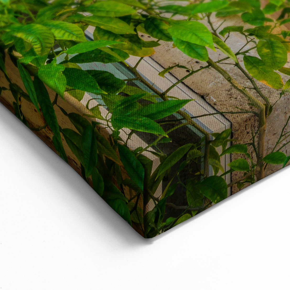 Sicily Wall Art - Quaint Sicilian Alley with Vespa and Potted Plants