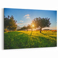 Sicily Landscape Art - Olive Tree Grove at Sunset in the Sicilian Countryside