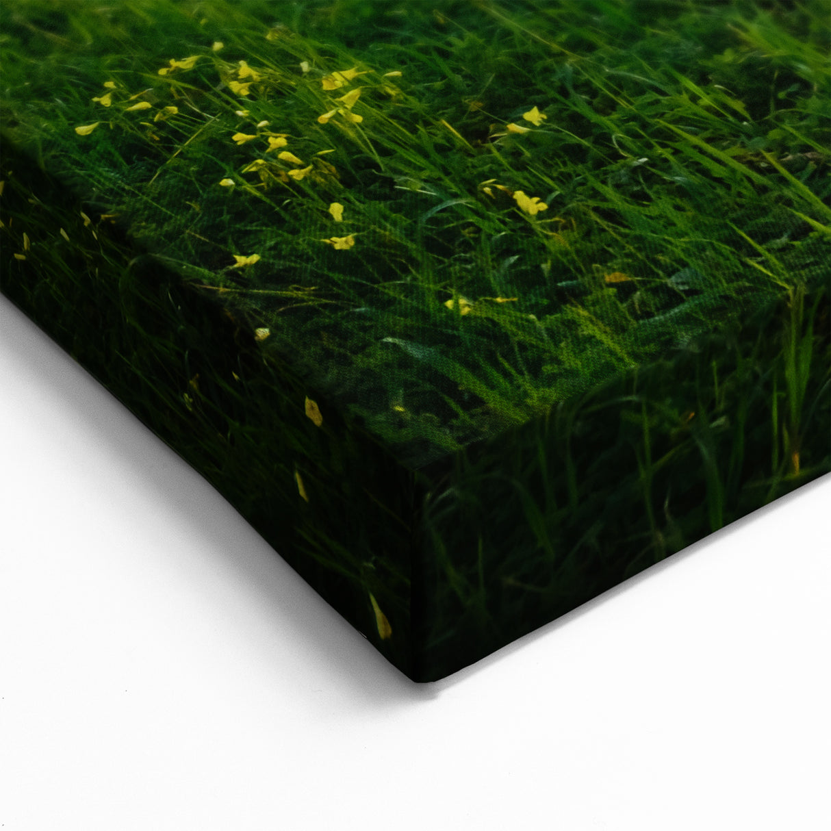 Sicily Landscape Art - Olive Tree Grove at Sunset in the Sicilian Countryside