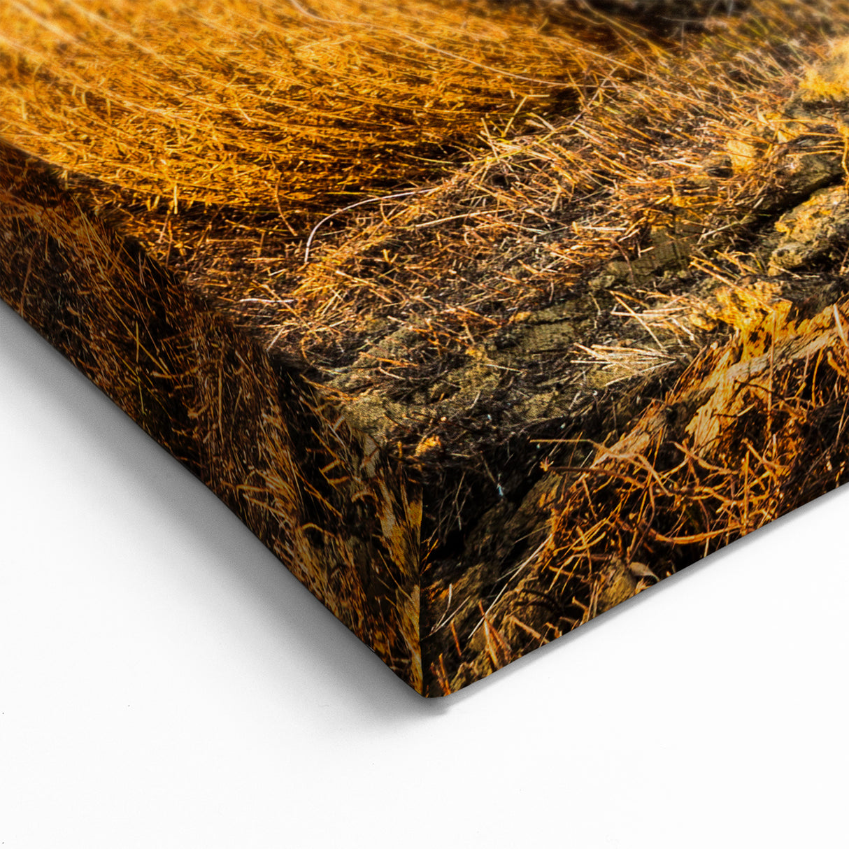 Tuscan Countryside Canvas – Rolling Hills and Hay Bales Print