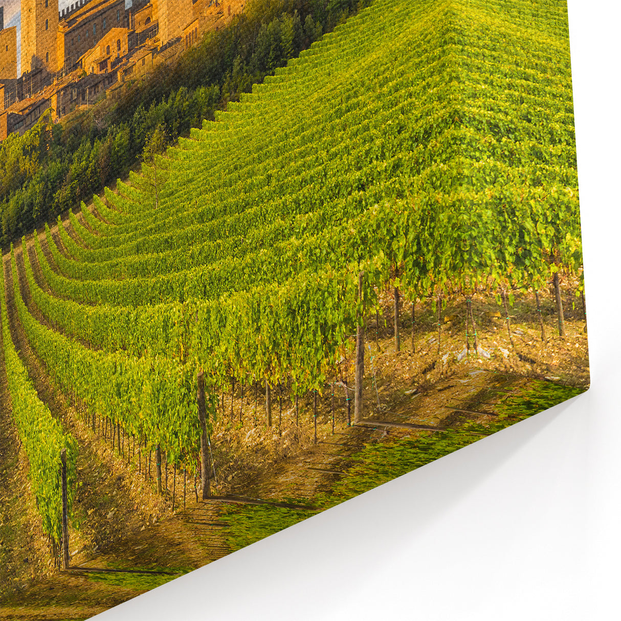 Tuscany Wall Art – Vineyards and Medieval Towers Landscape Print