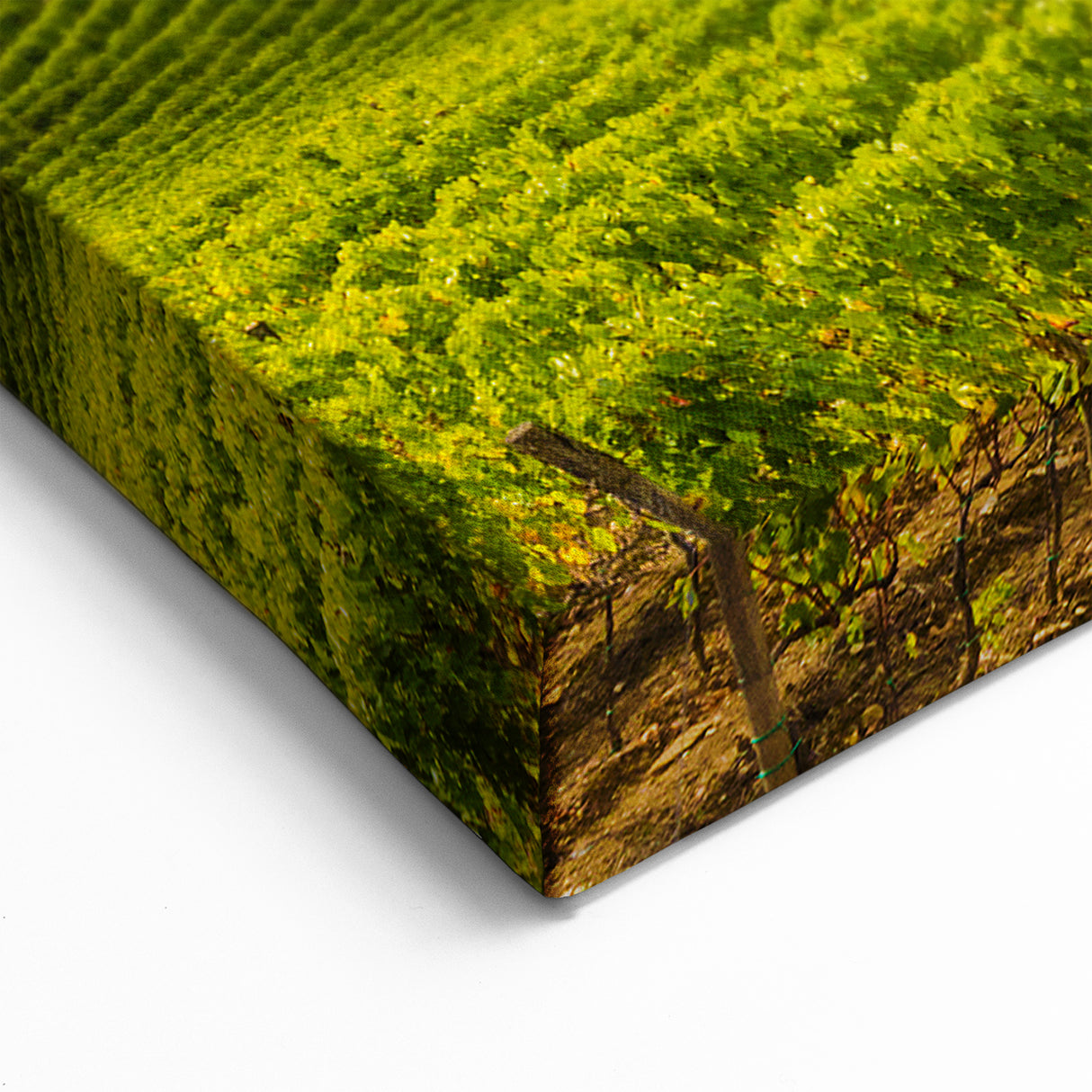 Tuscany Wall Art – Vineyards and Medieval Towers Landscape Print