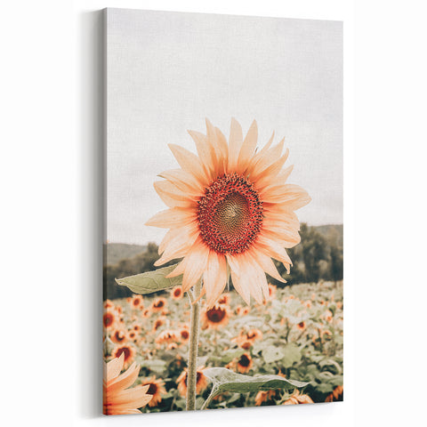 Farmhouse Wall Art Sunflower Print | Rustic Farmhouse Decor for Country Living