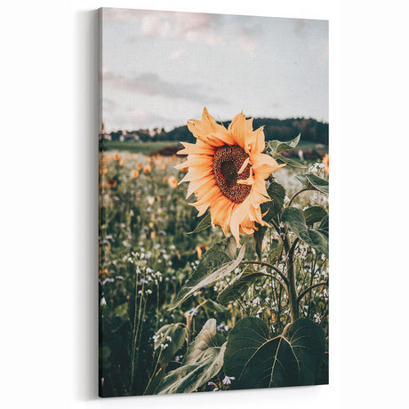 Farmhouse Wall Art Sunflower Field | Rustic Country Style Vintage Decor