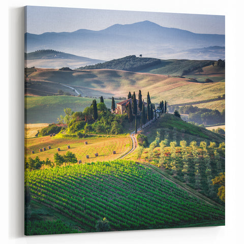 Italy Scenery Art – Tuscan Farmhouse and Vineyards Print