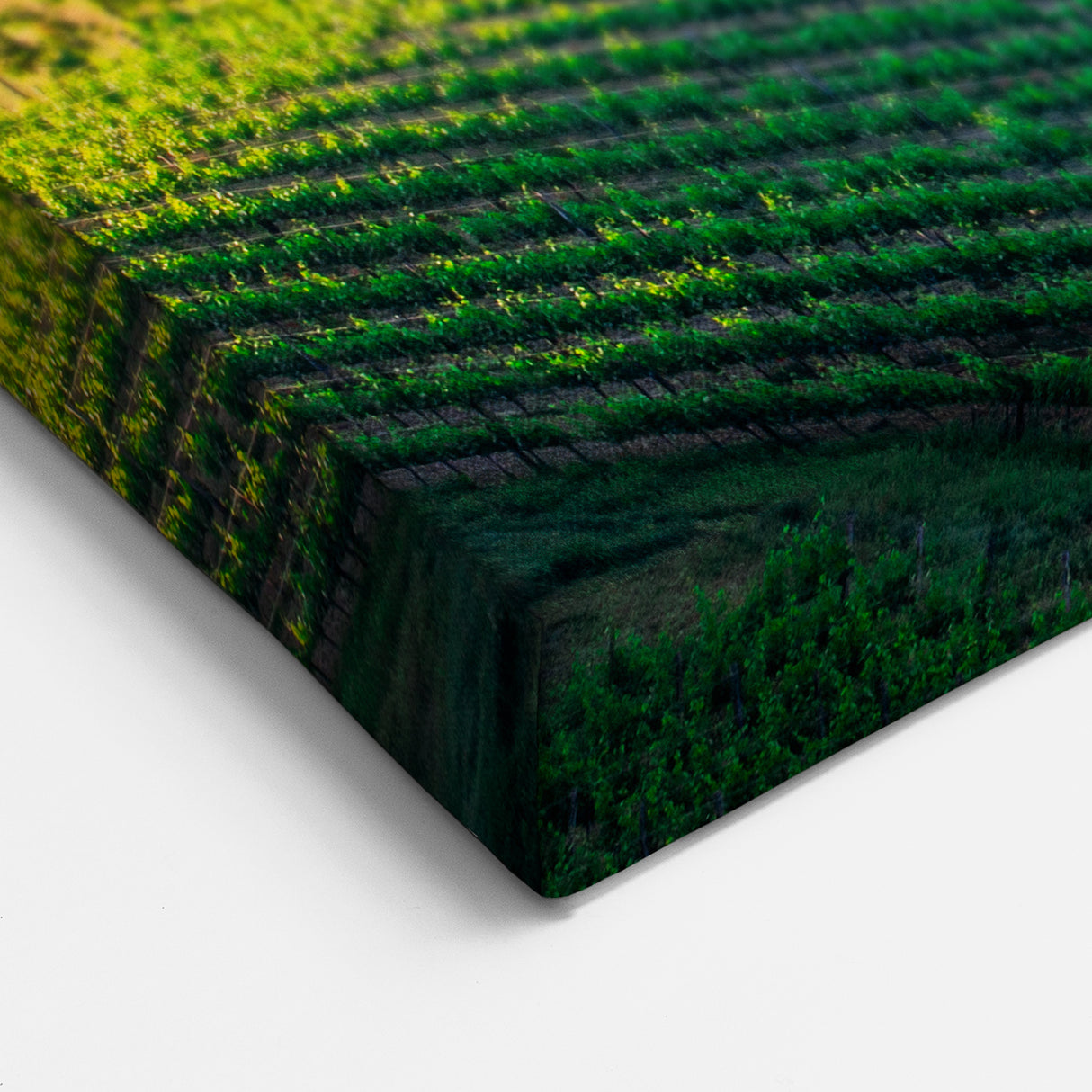 Italy Scenery Art – Tuscan Farmhouse and Vineyards Print