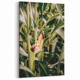 Farmhouse Wall Art Corn Stalk Print | Rustic Farmhouse Country Decor