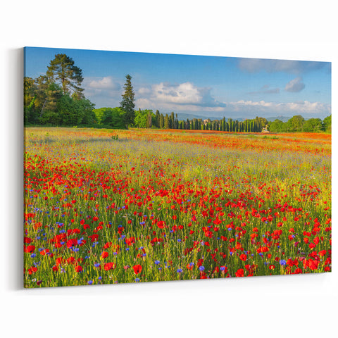 Tuscany Wall Art – Colorful Flower Field and Cypress Trees Print