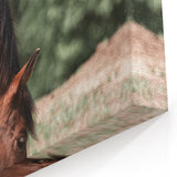 Farmhouse Wall Art Horse Grazing Print | Rustic Country Animal Decor