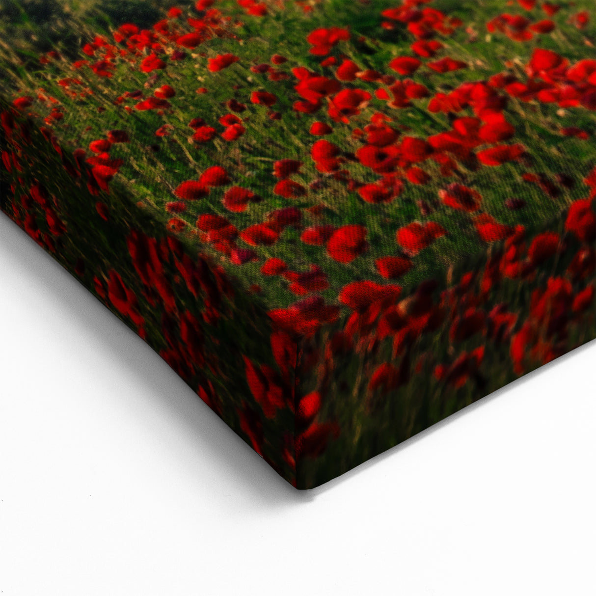 Tuscan Countryside Canvas – Poppy Fields and Rolling Hills at Sunset Print