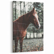Farmhouse Wall Art Horse by Fence Print | Rustic Country Animal Decor