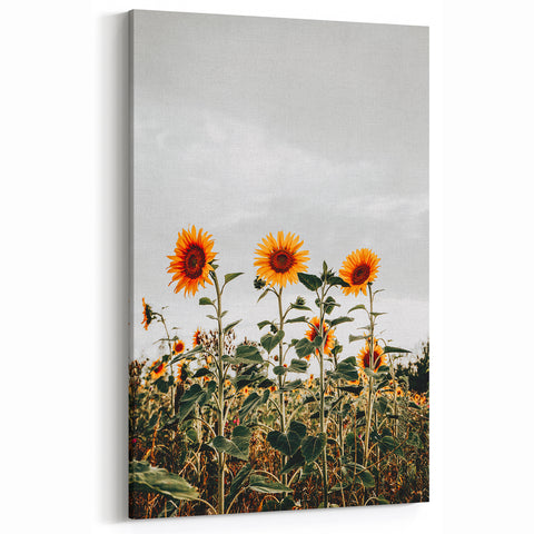 Farmhouse Wall Art Sunflower Field Print | Rustic Country Style Decor
