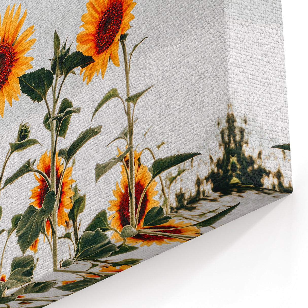Farmhouse Wall Art Sunflower Field Print | Rustic Country Style Decor