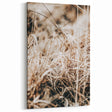 Farmhouse Wall Art Dry Grass Close-Up | Rustic Nature-Inspired Decor