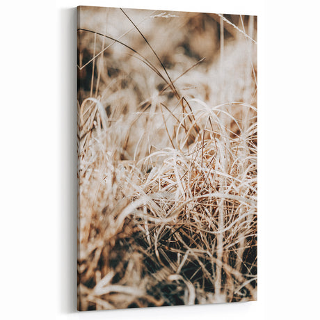 Farmhouse Wall Art Dry Grass Close-Up | Rustic Nature-Inspired Decor