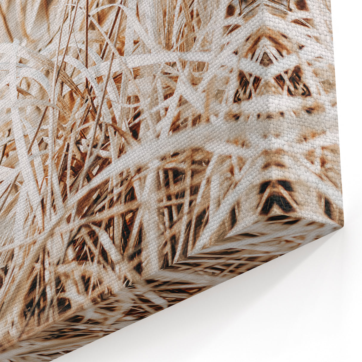 Farmhouse Wall Art Dry Grass Close-Up | Rustic Nature-Inspired Decor