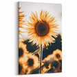 Farmhouse Wall Art Sunflower in Sunlight | Rustic Country Decor