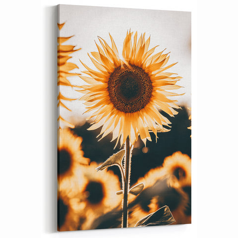 Farmhouse Wall Art Sunflower in Sunlight | Rustic Country Decor