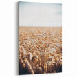 Farmhouse Wall Art Wheat Field Print | Rustic Country Harvest Decor