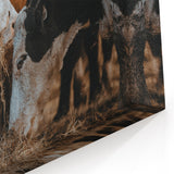 Country Style Farmhouse Wall Art | Cattle Print | Rustic Farmhouse Decor