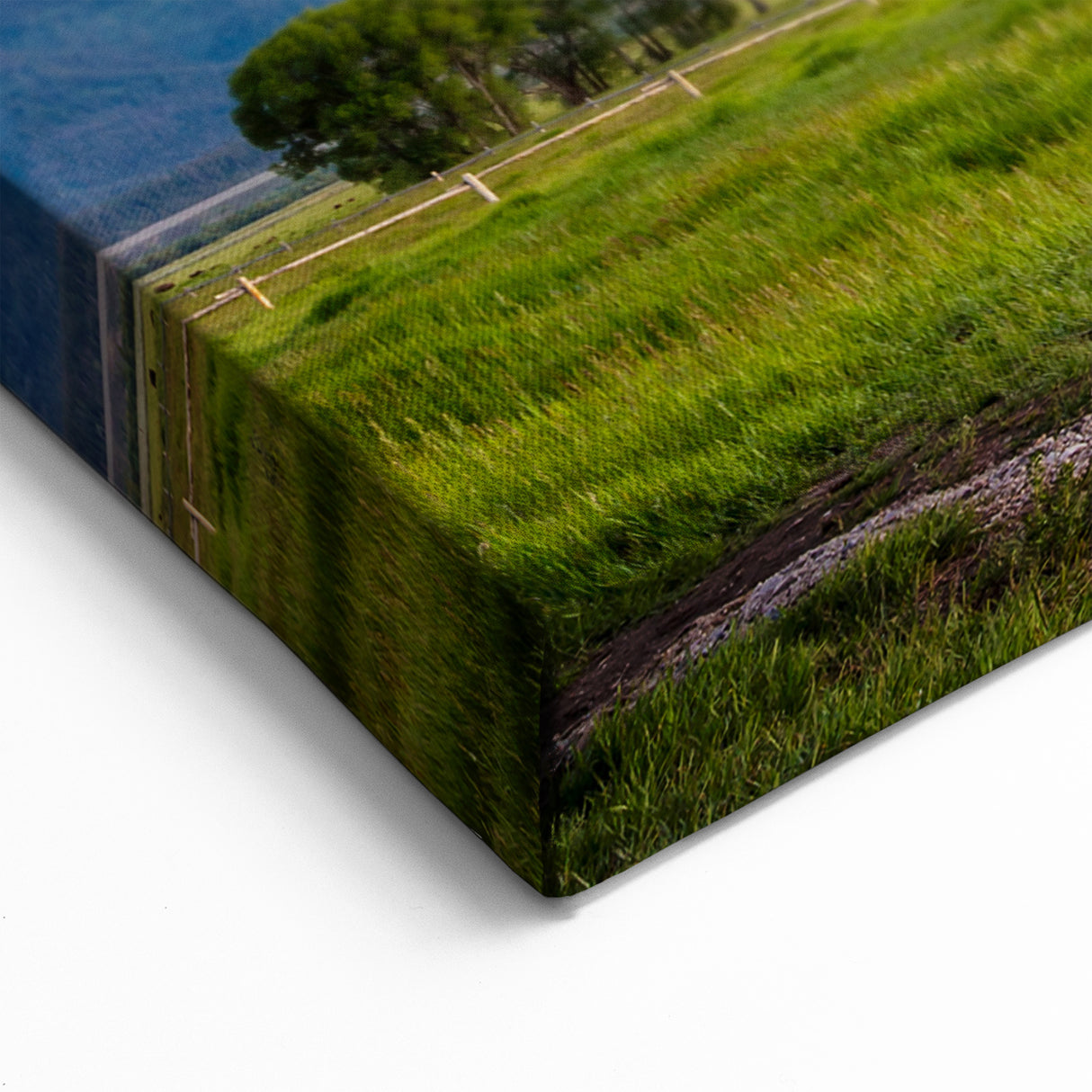 Grand Teton Canvas Print – Rustic Barn at Sunrise with Mountain View