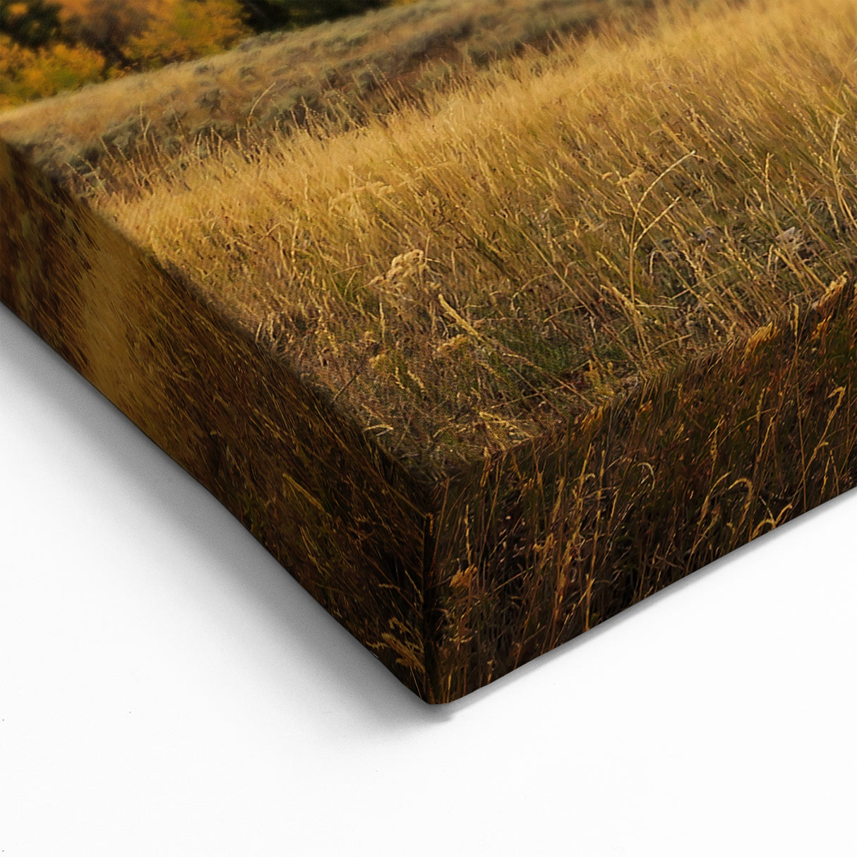 Teton Range Wall Decor – Sunlit Landscape with Majestic Mountains