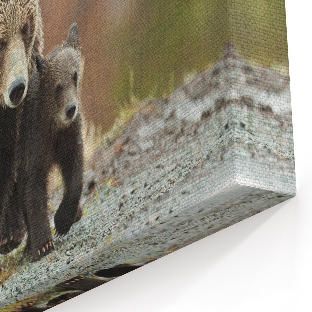 Grand Teton Scenic Print – Grizzly Bear Family Wildlife Photography