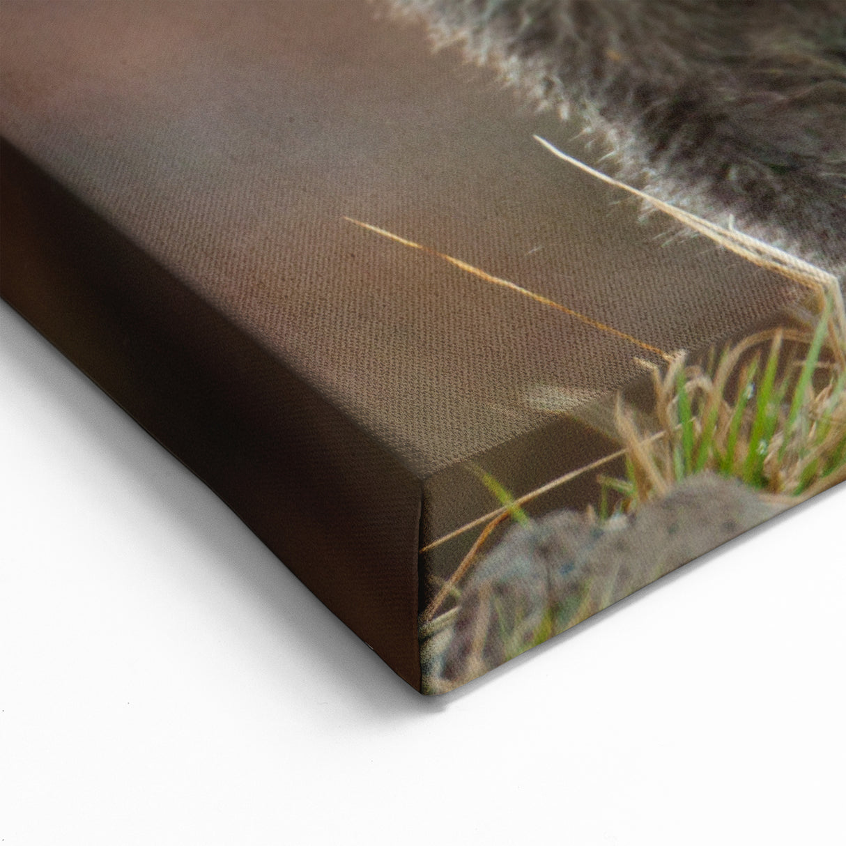 Grand Teton Scenic Print – Grizzly Bear Family Wildlife Photography