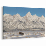 Grand Teton Scenic Print – Winter Landscape with Moose and Snowy Peaks