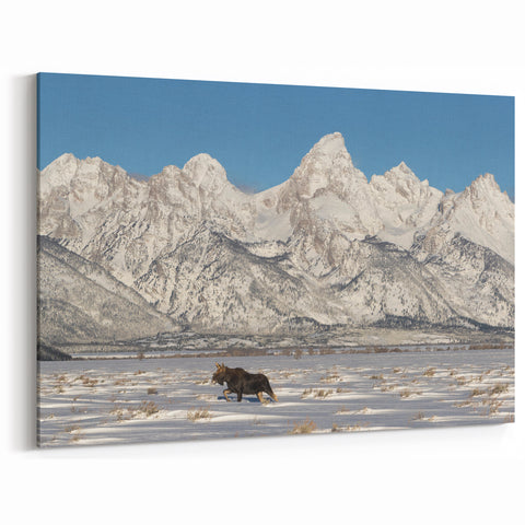 Grand Teton Scenic Print – Winter Landscape with Moose and Snowy Peaks