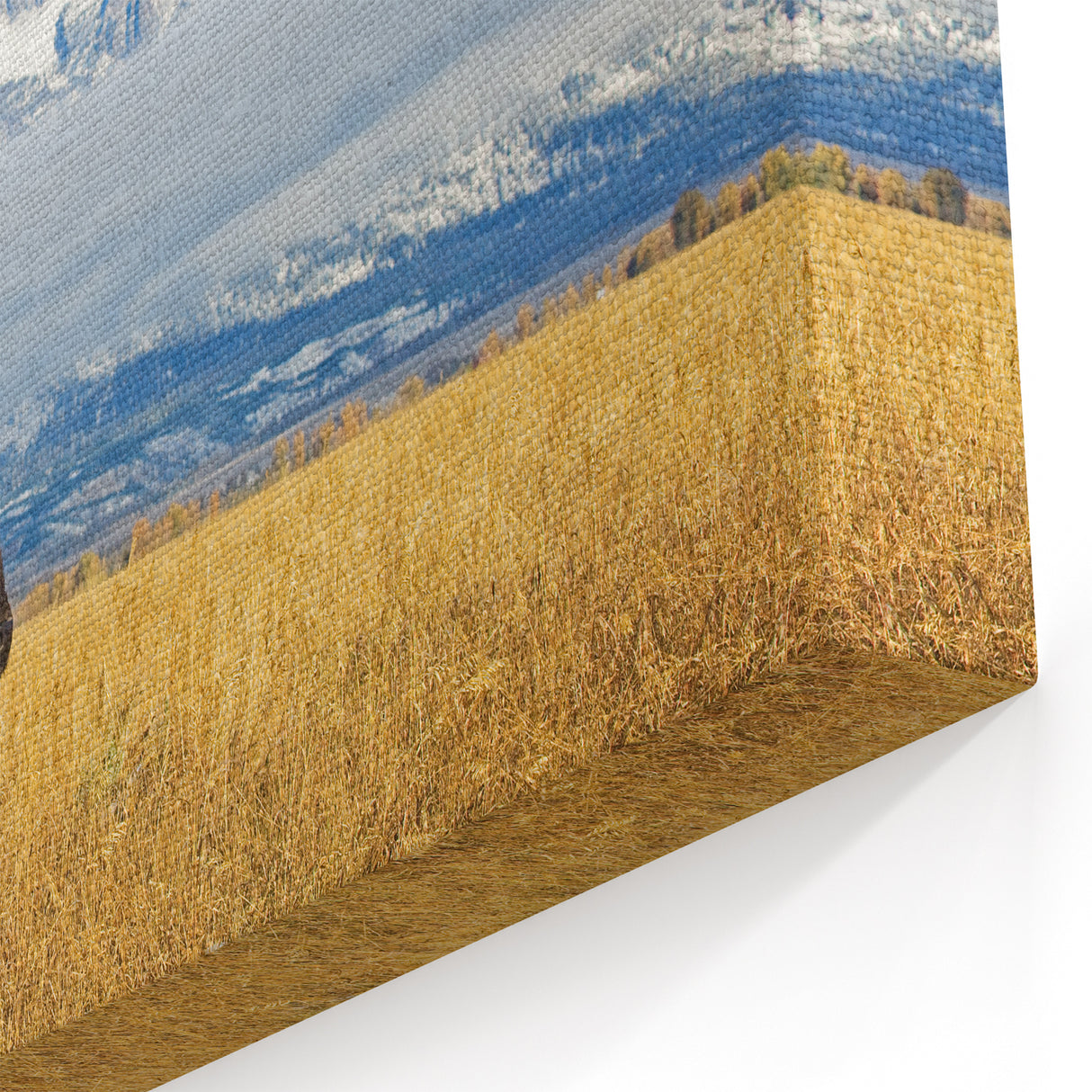 Grand Teton Photography Art – Bison in Winter Landscape with Snowy Peaks