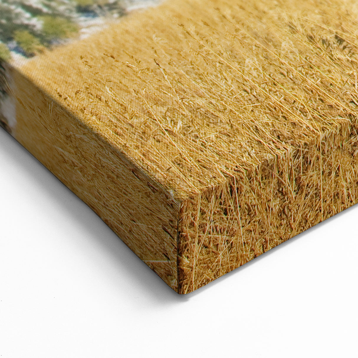 Grand Teton Photography Art – Bison in Winter Landscape with Snowy Peaks