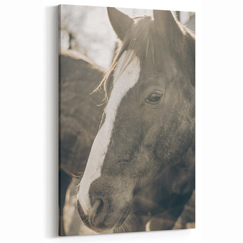 Rustic Horse Wall Art | Farmhouse Decor | Country Style Animal Print
