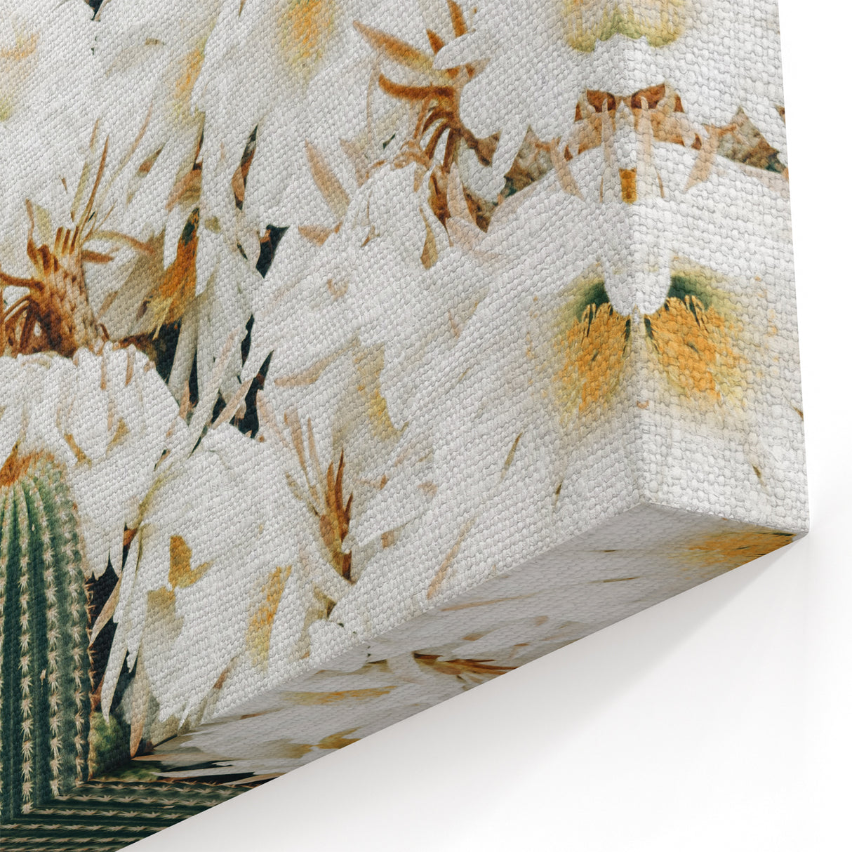 Farmhouse Wall Art – Rustic Cactus Flower Print for Country Style Decor