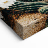 Farmhouse Wall Art – Rustic Cactus Flower Print for Country Style Decor