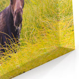 Grand Teton Wildlife Art – Moose in Lush Green Grassland Photography