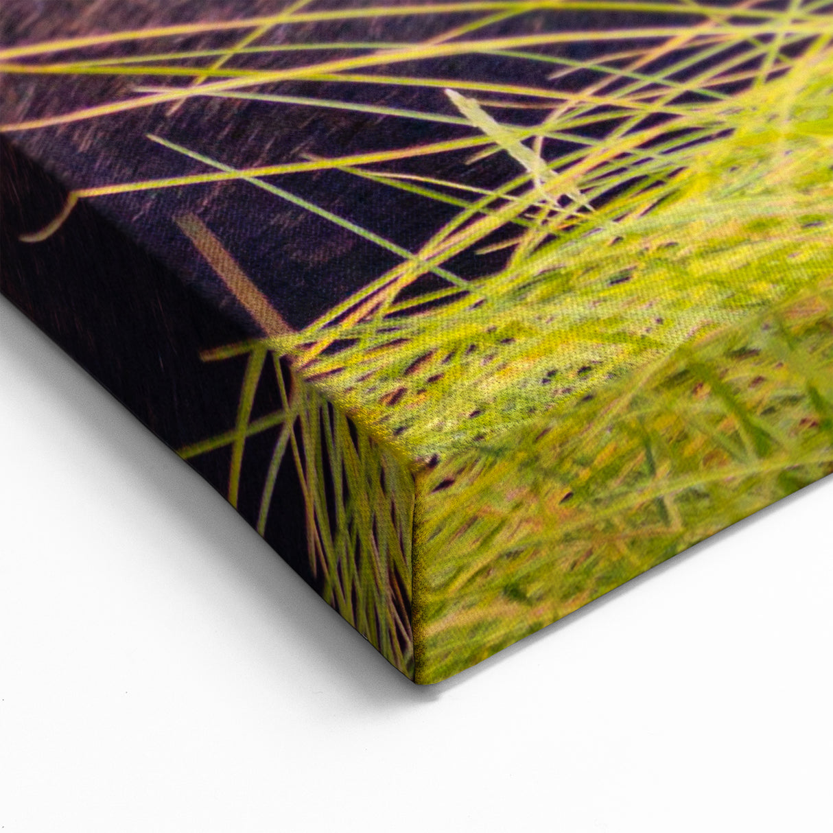 Grand Teton Wildlife Art – Moose in Lush Green Grassland Photography